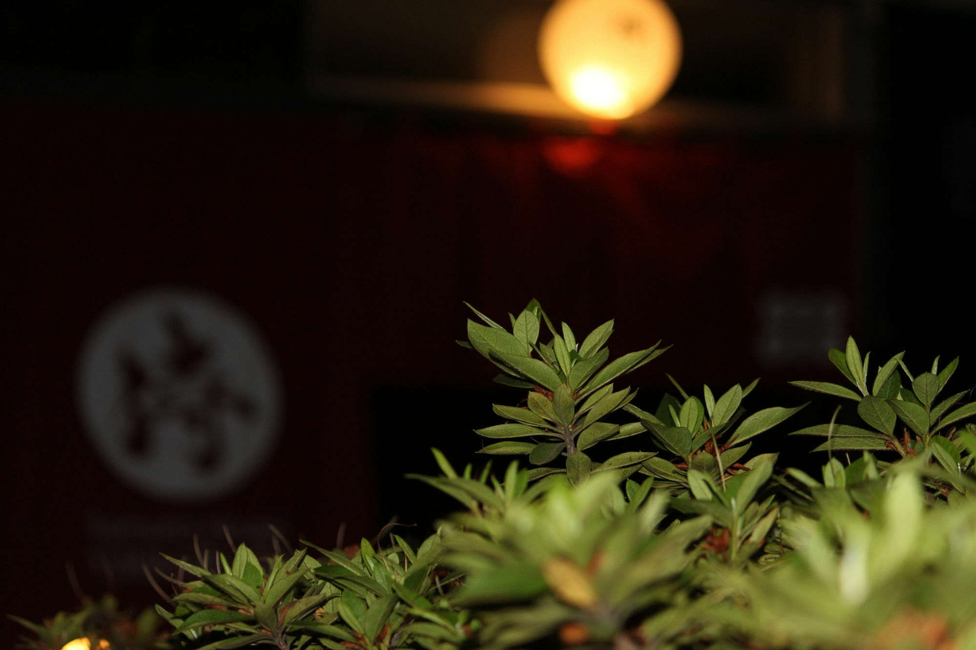 Samurai House Yukimura โตเกียว ภายนอก รูปภาพ